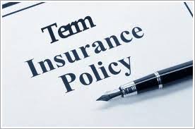 term insurance - financial logic meath